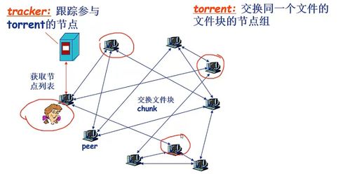 计算机网络网络应用之P2P应用