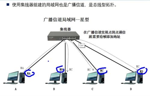 计算机网络 链路层